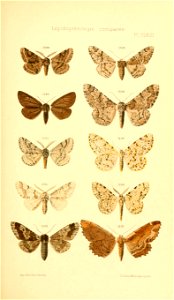 n292_w1150