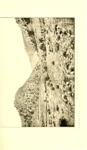 n226_w1150