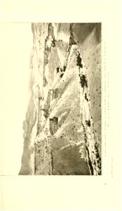 n256_w1150