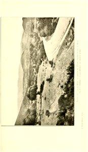 n196_w1150