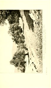 n166_w1150