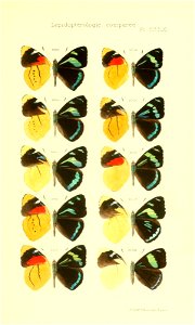 n502_w1150
