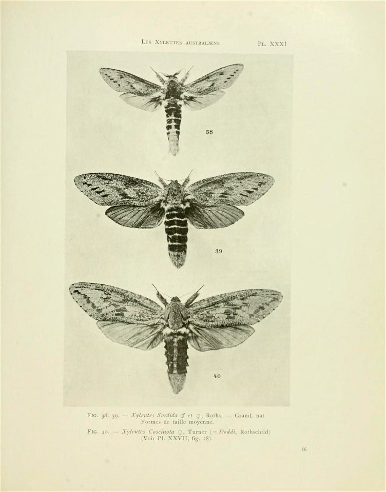 n128_w1150