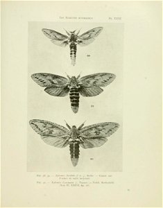 n128_w1150