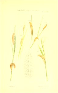 n296_w1150