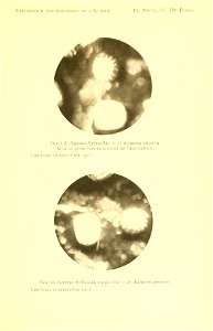 n206_w1150