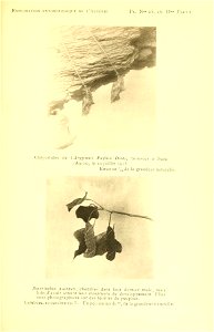 n176_w1150