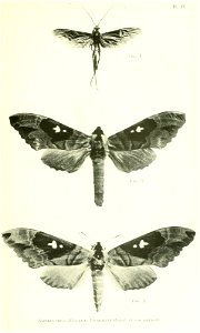 n298_w1150