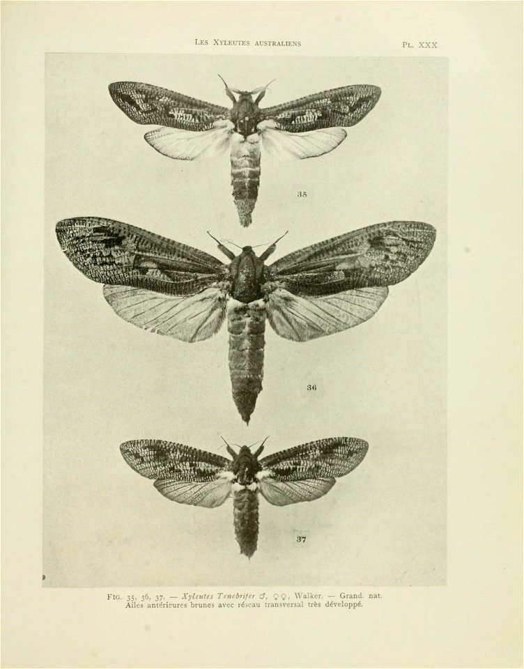 n126_w1150