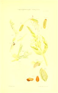 n294_w1150