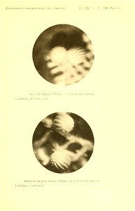 n204_w1150