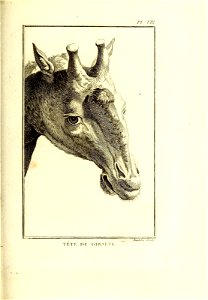 n354_w1150