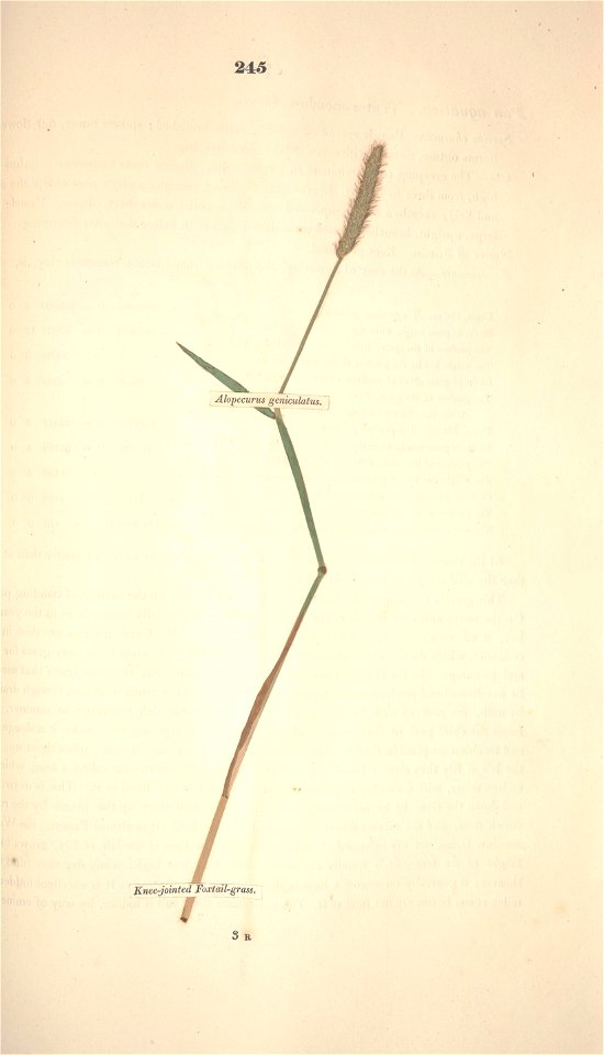 n316_w1150