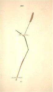 n316_w1150