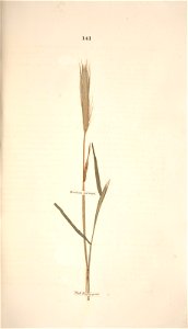 n212_w1150