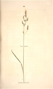 n128_w1150