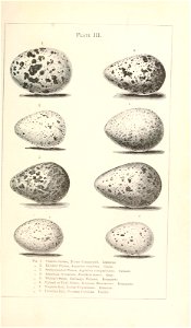 n524_w1150