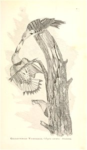 n138_w1150