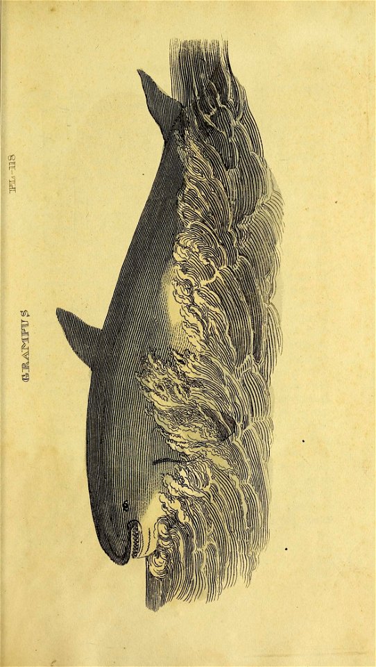 n522_w1150