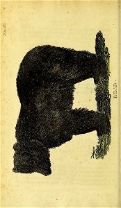 n557_w1150