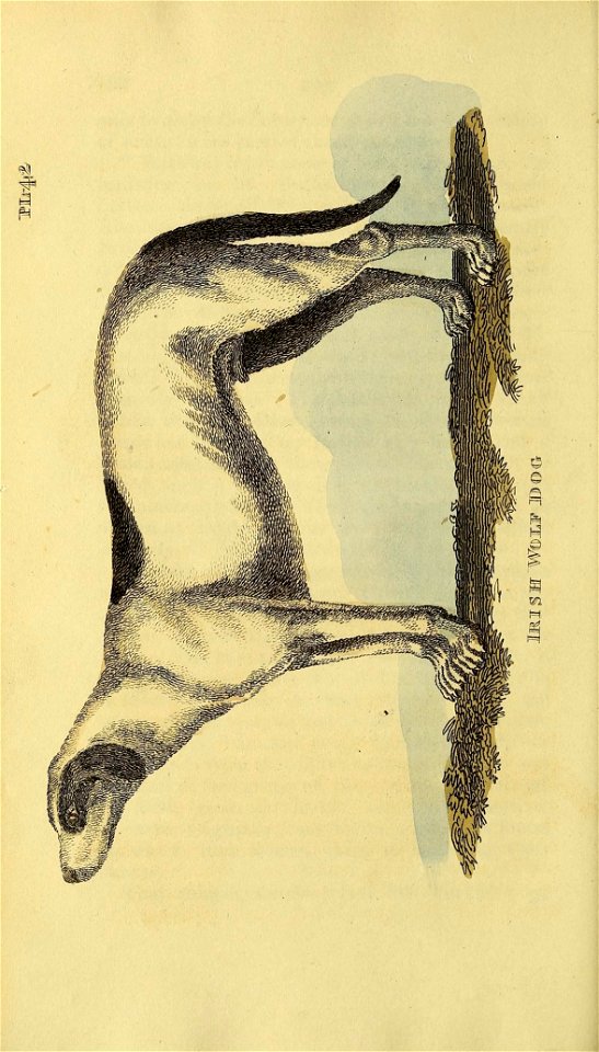 n351_w1150