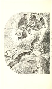 n449_w1150