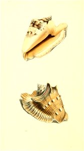 n209_w1150