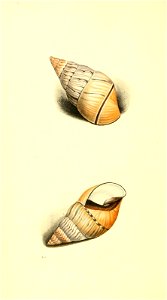 n203_w1150