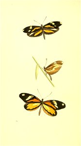 n155_w1150