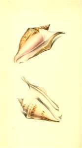 n103_w1150