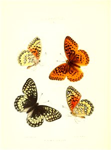 n191_w1150