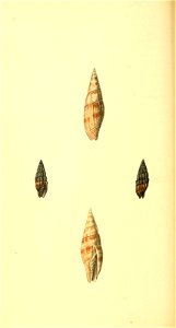 n183_w1150