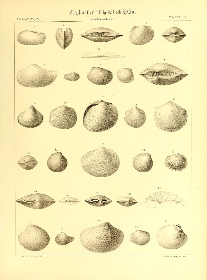 n546_w1150