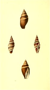 n137_w1150