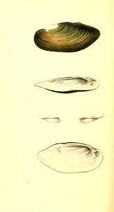 n349_w1150