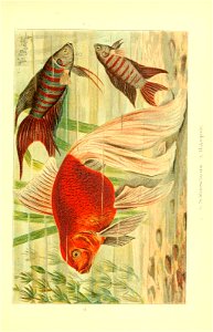 n366_w1150