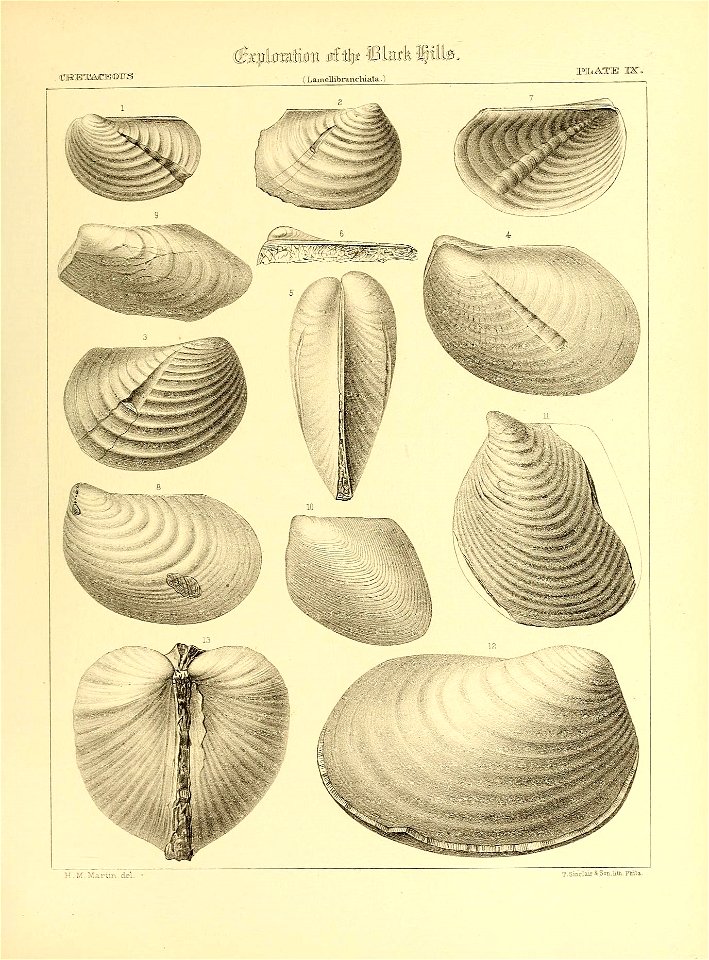 n538_w1150