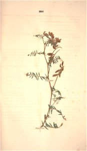 n366_w1150