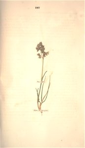 n258_w1150