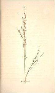 n142_w1150