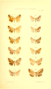 n296_w1150