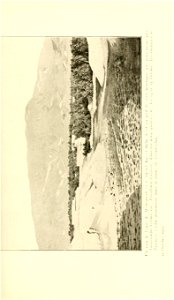 n260_w1150