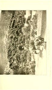 n200_w1150