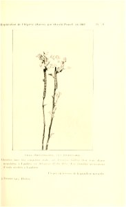 n140_w1150