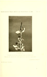 n80_w1150