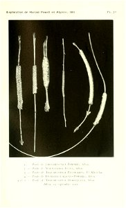 n516_w1150