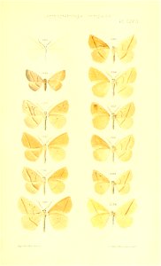n486_w1150