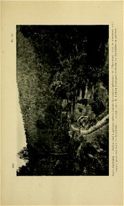 n312_w1150