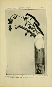 n222_w1150