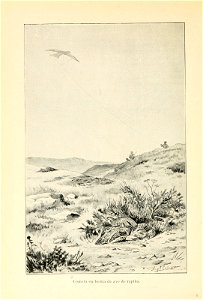 n295_w1150